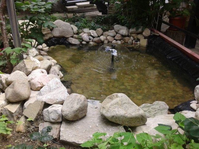 Жилье на лето в частном секторе в г. Феодосия