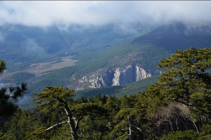 Ялтинский Горно Лесной заповедник в Крыму