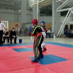 Принципы мастерства - «Спорт Крыма»