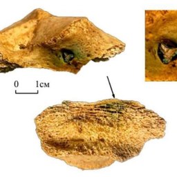 Откопали скифского «Ахиллеса» - «Культура Крыма»