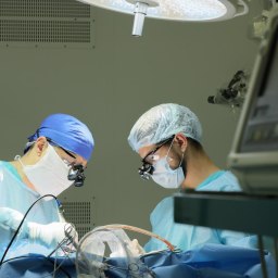 Крымские медики сохранили зрение девочке, пострадавшей при ударе ВСУ в Херсонской области - «Новости Крыма»