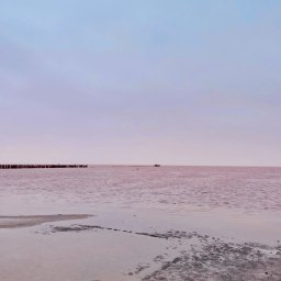 Розовый рай без толп - «Туризм Крыма»