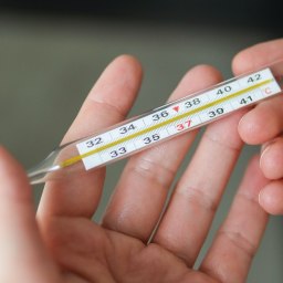 В Крыму и Севастополе закрыли на карантин две школы и более 100 классов - «Здоровье Крыма»