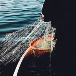 На развитие промышленного рыболовства в Севастополе направят 82 млн рублей - «Новости Крыма»