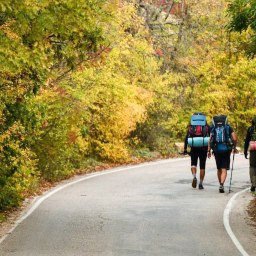 Более 550 тысяч туристов посетили Крым с начала года - «Туризм Крыма»