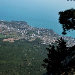 В Крыму одобрили реализацию шести новых инвестиционных проектов - «Экономика Крыма»