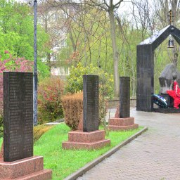 «Звезда Полыни» - «История»