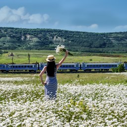 Фата-моргана, зодиакальный свет и соляные айсберги - «Туризм Крыма»