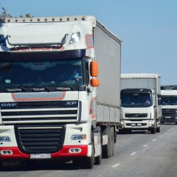 Все тенденции связаны - «Экономика Крыма»