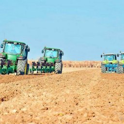 В Крыму перенесли сроки сельхозработ из-за аномально теплой погоды - «Новости Крыма»